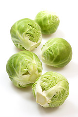 Image showing Brussels Sprouts