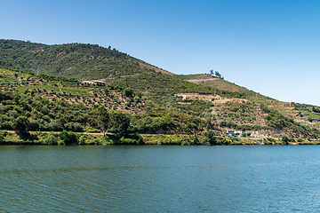 Image showing View of Douro Valley, Portugal. 