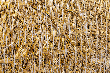 Image showing bound straw