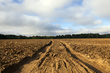 Image showing plowed field