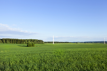 Image showing summer landscape