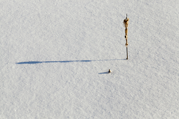 Image showing deep snow drifts