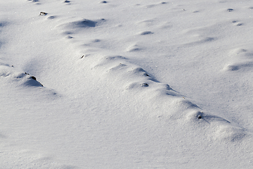 Image showing uneven soil