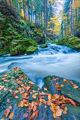 Image showing wild river Doubrava, autumn landscape