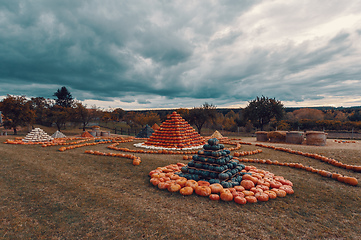 Image showing pyramid from Autumn harvested pumpkins