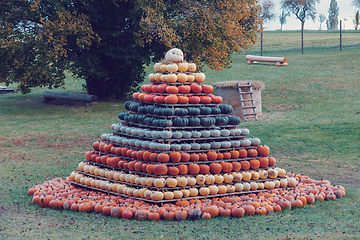 Image showing pyramid from Autumn harvested pumpkins