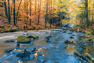 Image showing wild river Doubrava, autumn landscape