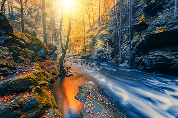 Image showing wild river Doubrava, autumn landscape