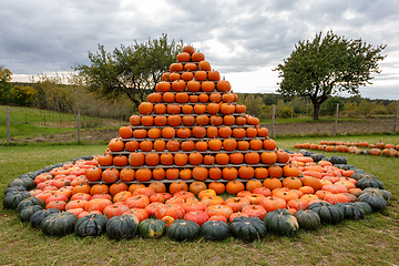 Image showing pyramid from Autumn harvested pumpkins