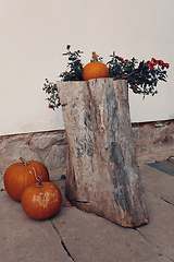 Image showing Ripe autumn pumpkins on the farm