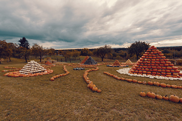 Image showing pyramid from Autumn harvested pumpkins