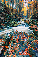 Image showing wild river Doubrava, autumn landscape