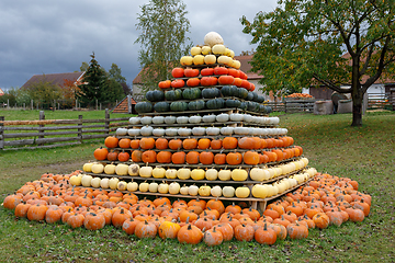 Image showing pyramid from Autumn harvested pumpkins
