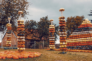 Image showing pyramid from Autumn harvested pumpkins