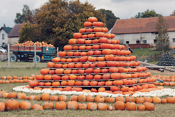 Image showing pyramid from Autumn harvested pumpkins