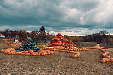 Image showing pyramid from Autumn harvested pumpkins