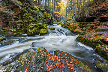 Image showing wild river Doubrava, autumn landscape