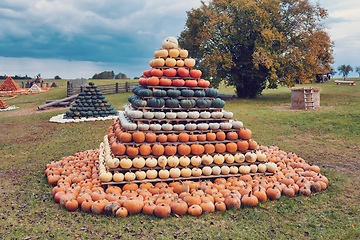 Image showing pyramid from Autumn harvested pumpkins