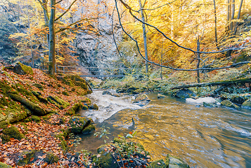 Image showing wild river Doubrava, autumn landscape