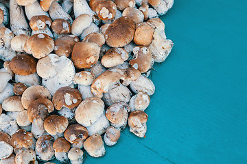 Image showing background from collected mushrooms boletus in pile