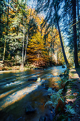 Image showing wild river Doubrava, autumn landscape