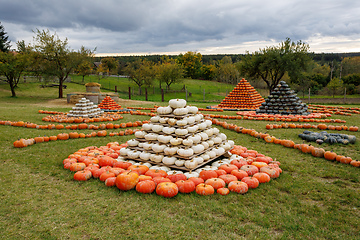 Image showing pyramid from Autumn harvested pumpkins