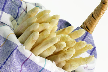 Image showing Asparagus_6