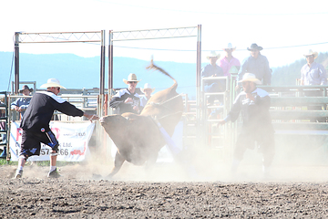 Image showing Ty Pozzobon Invitational PBR