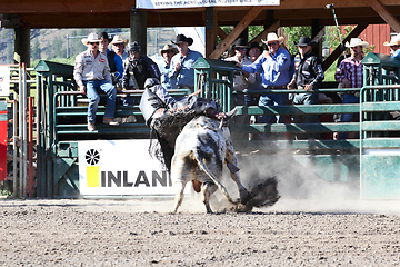 Image showing Ty Pozzobon Invitational PBR