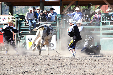 Image showing Ty Pozzobon Invitational PBR