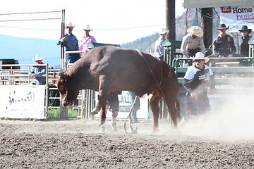 Image showing Ty Pozzobon Invitational PBR