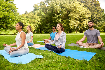 Image showing group of people doing yoga at summer park