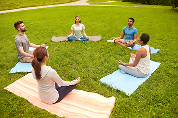 Image showing group of people doing yoga at summer park