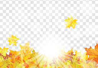 Image showing Maple leaves on transparency grid