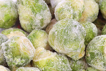 Image showing Brussels Sprouts_8