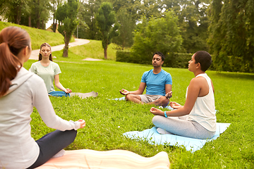 Image showing group of people doing yoga at summer park