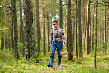 Image showing happy man with basket picking mushrooms in forest