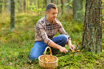 Image showing happy man with basket picking mushrooms in forest