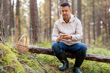 Image showing man with basket picking mushrooms in forest