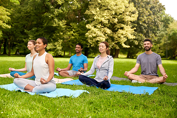 Image showing group of people doing yoga at summer park