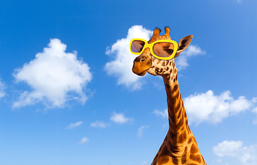 Image showing giraffe in sunglasses over blue sky and clouds