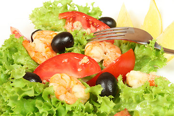 Image showing Shrimp salad