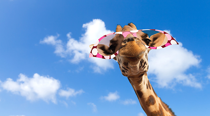 Image showing giraffe in sunglasses over blue sky and clouds