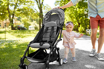 Image showing father with child in stroller at summer park