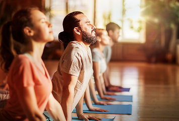 Image showing group of people doing yoga dog pose at studio