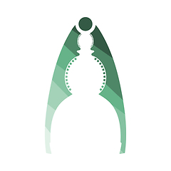 Image showing Nutcracker pliers icon