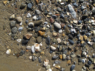 Image showing Wet different sea pebbles on the beach