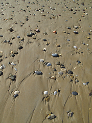 Image showing Different sea pebbles on the wet sand on the beach   