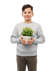 Image showing happy smiling boy holding flower in pot