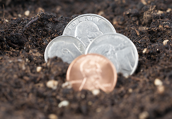 Image showing American coins